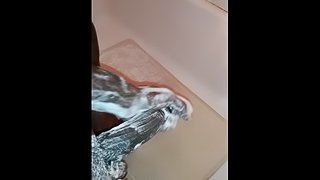 Shower fun
