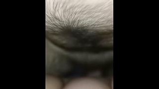 Homemade amateurs 2