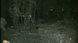 Skinny girl pissing in the woods caught on voyeur nightcam