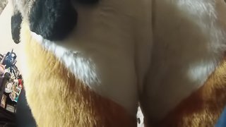 Deer Furry Lapdance big butt POV