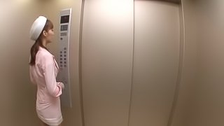 Fashionable babe in an elevator sucks dick from her knees