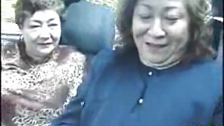 Japanese mature sluts dildoing in a car