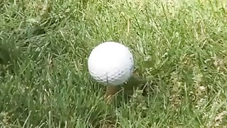 Randy golfer gets a hole-in-one using a dildo club