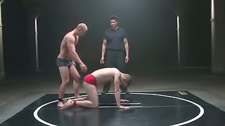 Two oiled up guys fight in a ring and have wild sex